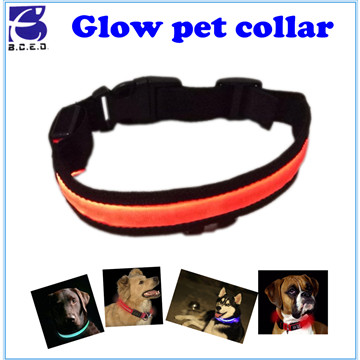 F2231 Glow pet collar